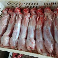 黑龙江 鲜冻兔头 出售2年兔头 厂家出售 君诚食品