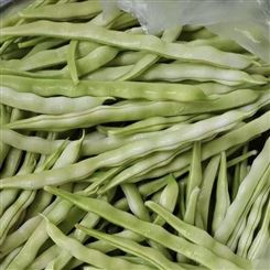 永州市芸豆批发 四季豆 新鲜蔬菜 规格